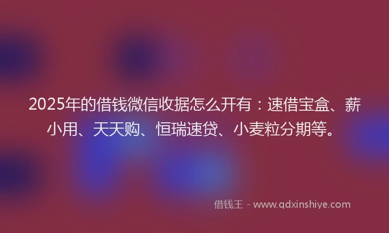 2025年的借钱微信收据怎么开有：速借宝盒、薪小用、天天购、恒瑞速贷、小麦粒分期等。
