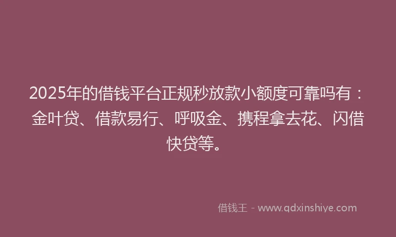 2025年的借钱平台正规秒放款小额度可靠吗有：金叶贷、借款易行、呼吸金、携程拿去花、闪借快贷等。