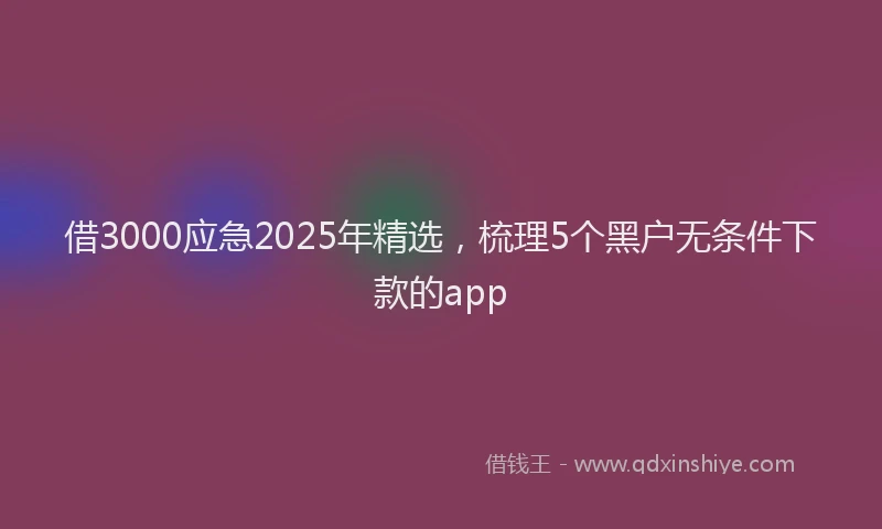 借3000应急2025年精选，梳理5个黑户无条件下款的app