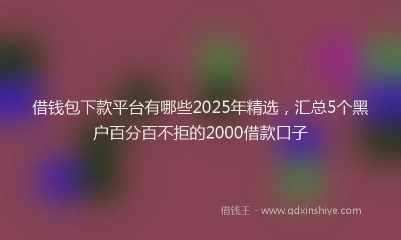 借钱包下款平台有哪些2025年精选，汇总5个黑户百分百不拒的2000借款口子