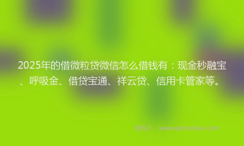 2025年的借微粒贷微信怎么借钱有:现金秒融宝、呼吸金、借贷宝通、祥云贷、信用卡管家等。