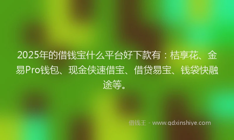2025年的借钱宝什么平台好下款有：桔享花、金易Pro钱包、现金侠速借宝、借贷易宝、钱袋快融途等。