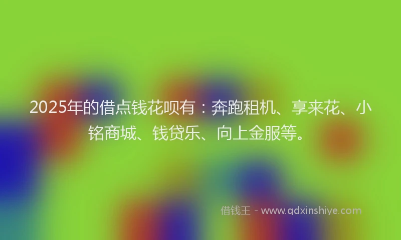2025年的借点钱花呗有：奔跑租机、享来花、小铭商城、钱贷乐、向上金服等。