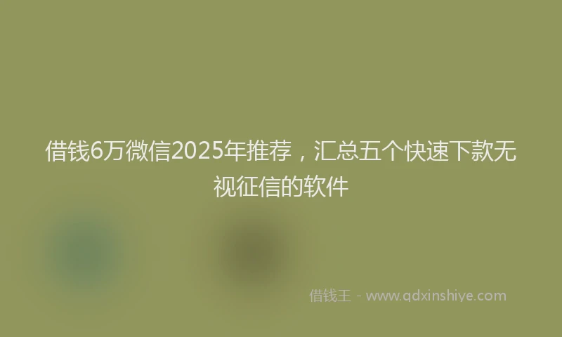 借钱6万微信2025年推荐，汇总五个快速下款无视征信的软件