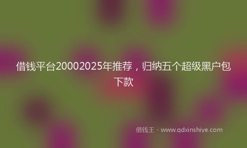 借钱平台20002025年推荐，归纳五个超级黑户包下款