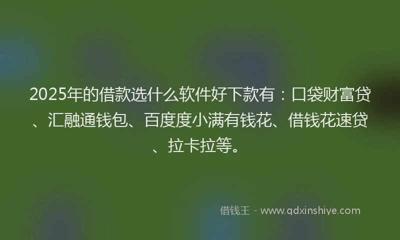 2025年的借款选什么软件好下款有：口袋财富贷、汇融通钱包、百度度小满有钱花、借钱花速贷、拉卡拉等。