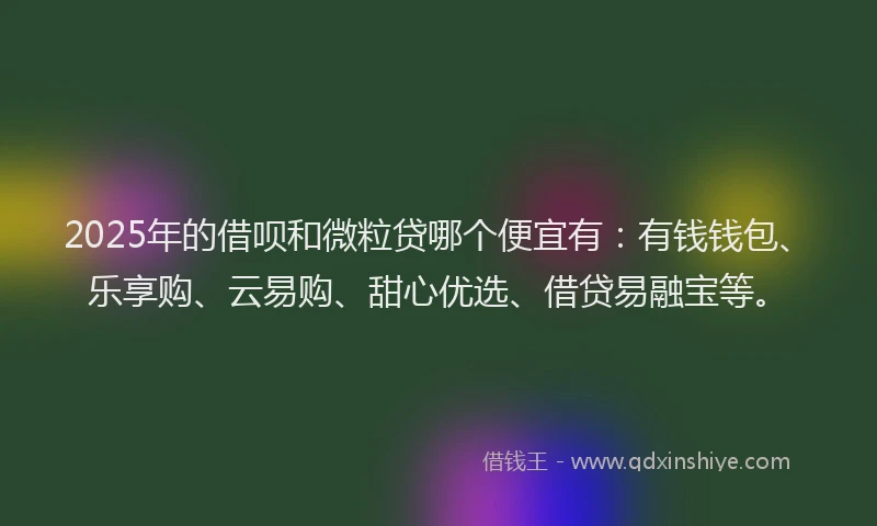 2025年的借呗和微粒贷哪个便宜有：有钱钱包、乐享购、云易购、甜心优选、借贷易融宝等。