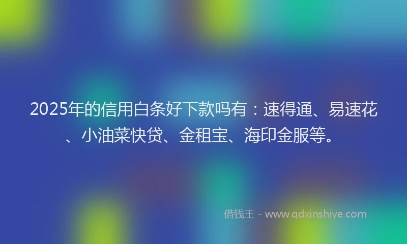 2025年的信用白条好下款吗有：速得通、易速花、小油菜快贷、金租宝、海印金服等。