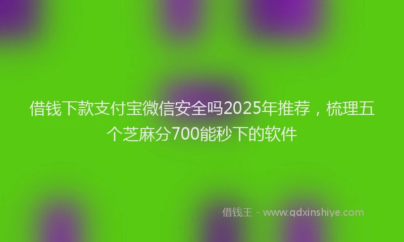 借钱下款支付宝微信安全吗2025年推荐，梳理五个芝麻分700能秒下的软件