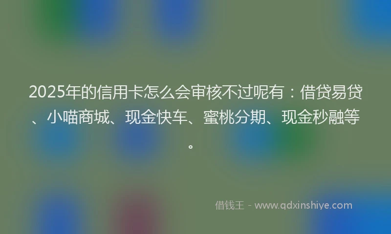 2025年的信用卡怎么会审核不过呢有：借贷易贷、小喵商城、现金快车、蜜桃分期、现金秒融等。