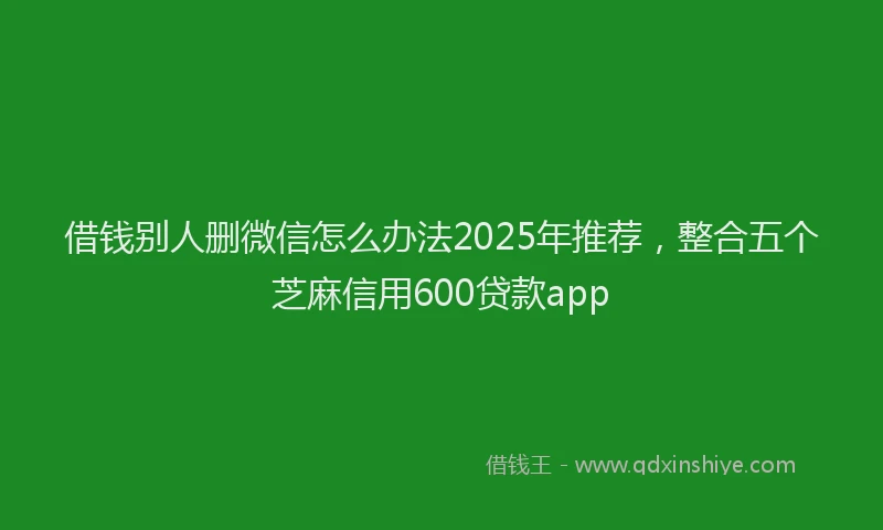 借钱别人删微信怎么办法2025年推荐，整合五个芝麻信用600贷款app