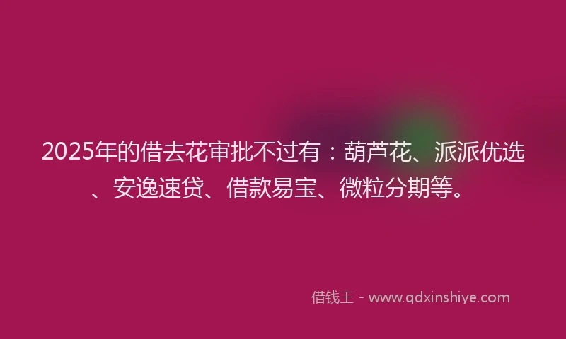 2025年的借去花审批不过有：葫芦花、派派优选、安逸速贷、借款易宝、微粒分期等。