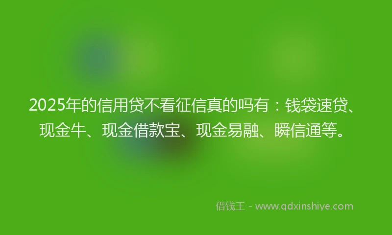 2025年的信用贷不看征信真的吗有：钱袋速贷、现金牛、现金借款宝、现金易融、瞬信通等。