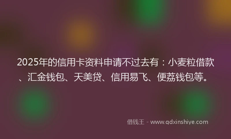 2025年的信用卡资料申请不过去有：小麦粒借款、汇金钱包、天美贷、信用易飞、便荔钱包等。