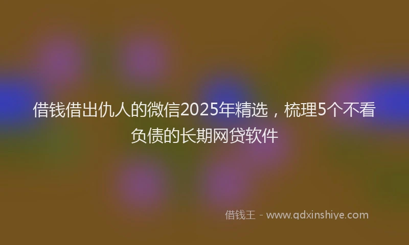 借钱借出仇人的微信2025年精选，梳理5个不看负债的长期网贷软件