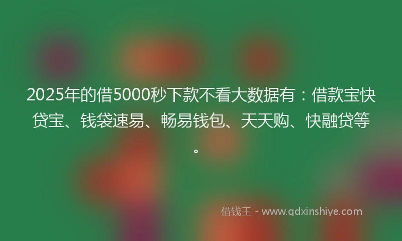 2025年的借5000秒下款不看大数据有：借款宝快贷宝、钱袋速易、畅易钱包、天天购、快融贷等。