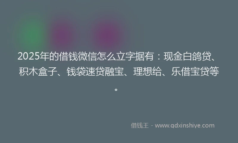 2025年的借钱微信怎么立字据有：现金白鸽贷、积木盒子、钱袋速贷融宝、理想给、乐借宝贷等。