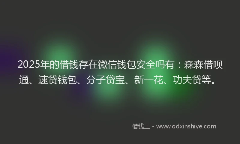 2025年的借钱存在微信钱包安全吗有：森森借呗通、速贷钱包、分子贷宝、新一花、功夫贷等。