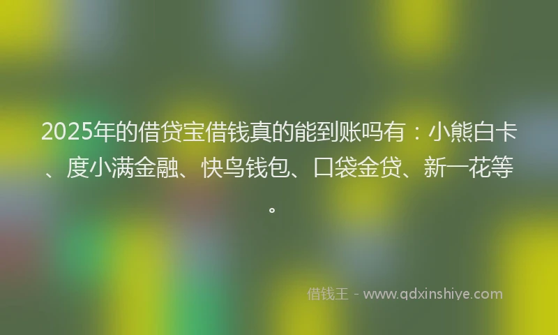 2025年的借贷宝借钱真的能到账吗有：小熊白卡、度小满金融、快鸟钱包、口袋金贷、新一花等。