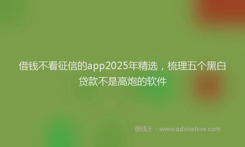 借钱不看征信的app2025年精选，梳理五个黑白贷款不是高炮的软件