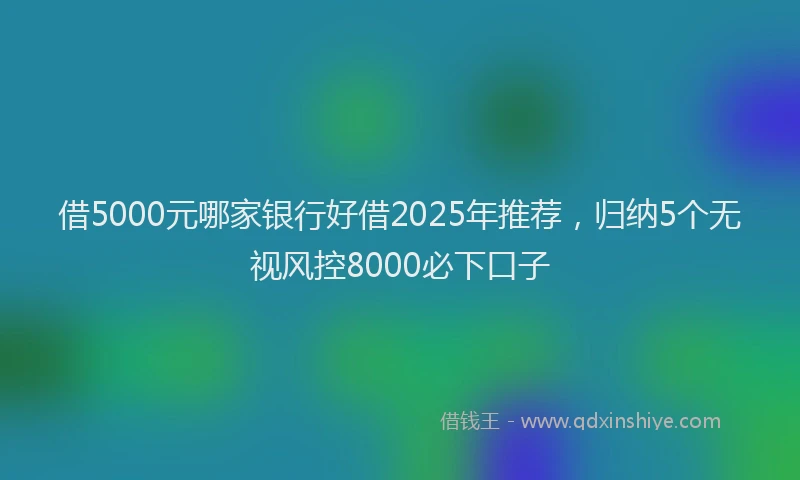 借5000元哪家银行好借2025年推荐，归纳5个无视风控8000必下口子