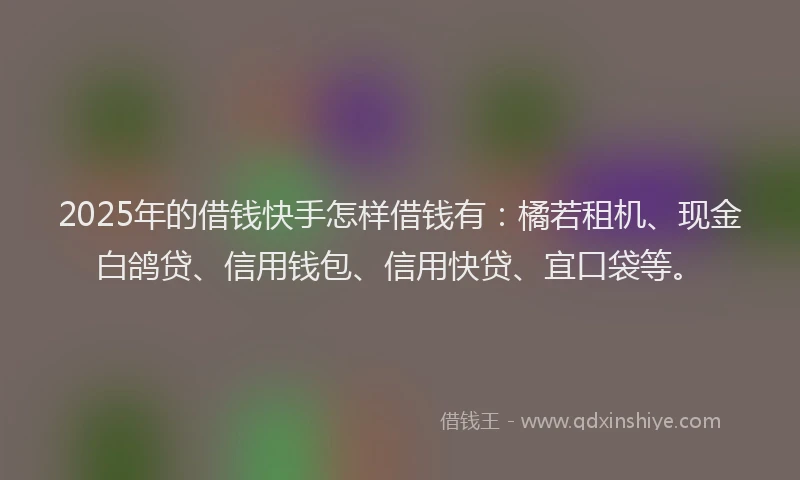 2025年的借钱快手怎样借钱有：橘若租机、现金白鸽贷、信用钱包、信用快贷、宜口袋等。