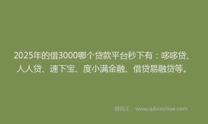 2025年的借3000哪个贷款平台秒下有：哆哆贷、人人贷、速下宝、度小满金融、借贷易融贷等。