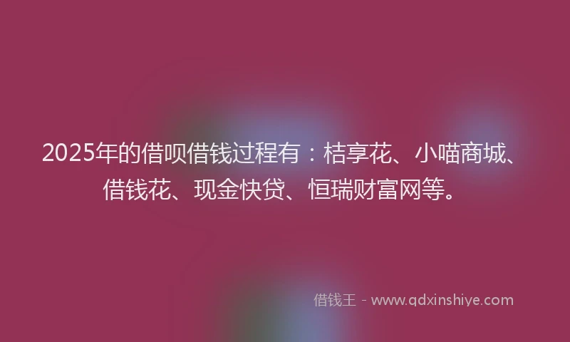 2025年的借呗借钱过程有：桔享花、小喵商城、借钱花、现金快贷、恒瑞财富网等。