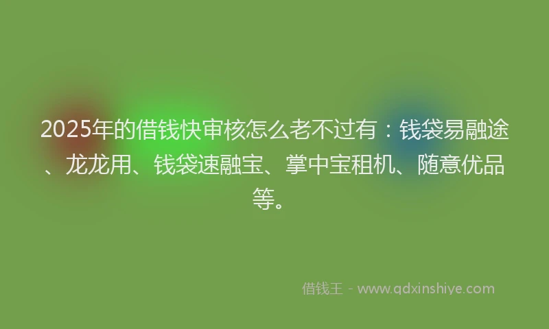2025年的借钱快审核怎么老不过有：钱袋易融途、龙龙用、钱袋速融宝、掌中宝租机、随意优品等。