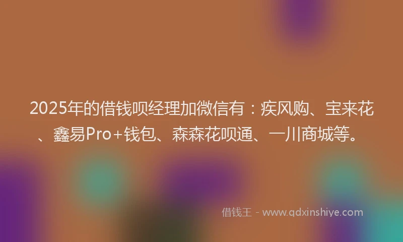 2025年的借钱呗经理加微信有：疾风购、宝来花、鑫易Pro+钱包、森森花呗通、一川商城等。