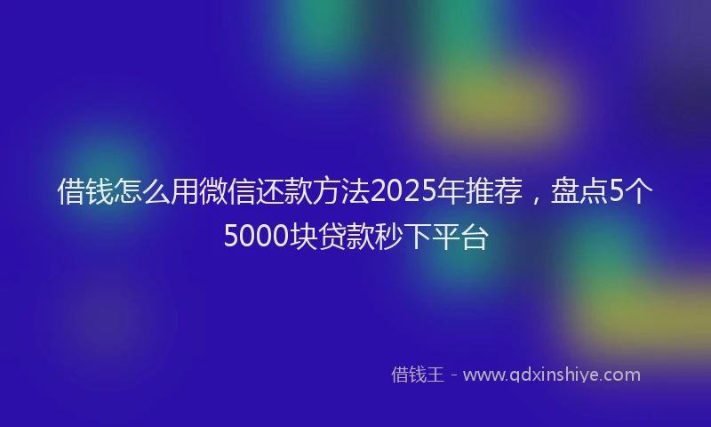 借钱怎么用微信还款方法2025年推荐，盘点5个5000块贷款秒下平台