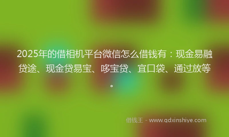 2025年的借相机平台微信怎么借钱有：现金易融贷途、现金贷易宝、哆宝贷、宜口袋、通过放等。