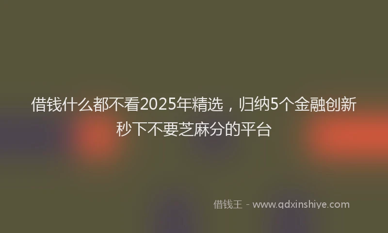 借钱什么都不看2025年精选，归纳5个金融创新秒下不要芝麻分的平台