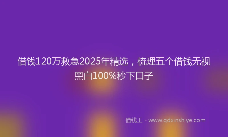 借钱120万救急2025年精选,梳理五个借钱无视黑白100%秒下口子