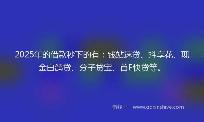 2025年的借款秒下的有：钱站速贷、抖享花、现金白鸽贷、分子贷宝、首E快贷等。