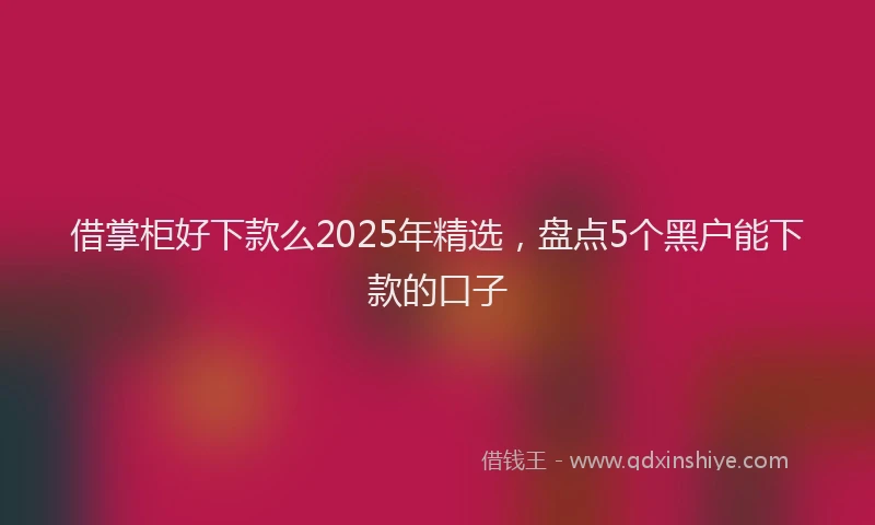 借掌柜好下款么2025年精选，盘点5个黑户能下款的口子