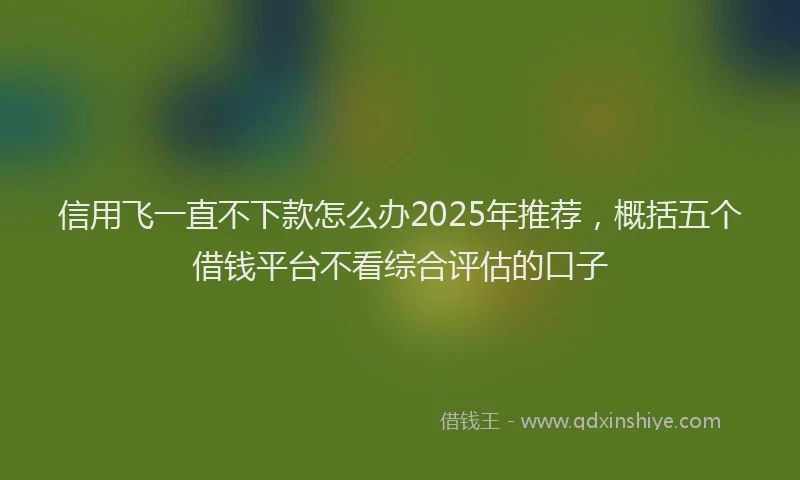 信用飞一直不下款怎么办2025年推荐，概括五个借钱平台不看综合评估的口子