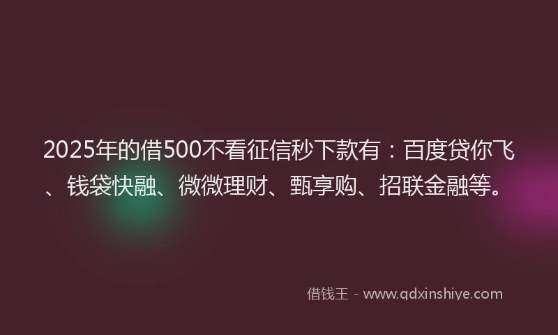 2025年的借500不看征信秒下款有：百度贷你飞、钱袋快融、微微理财、甄享购、招联金融等。