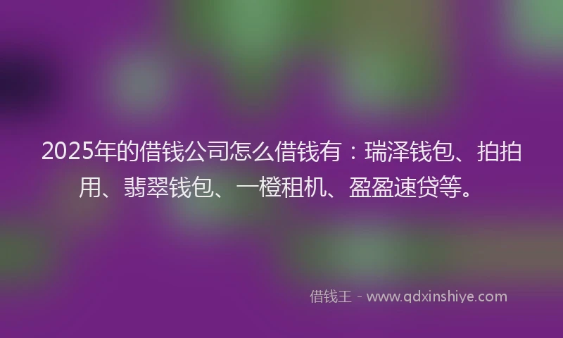 2025年的借钱公司怎么借钱有:瑞泽钱包、拍拍用、翡翠钱包、一橙租机、盈盈速贷等。