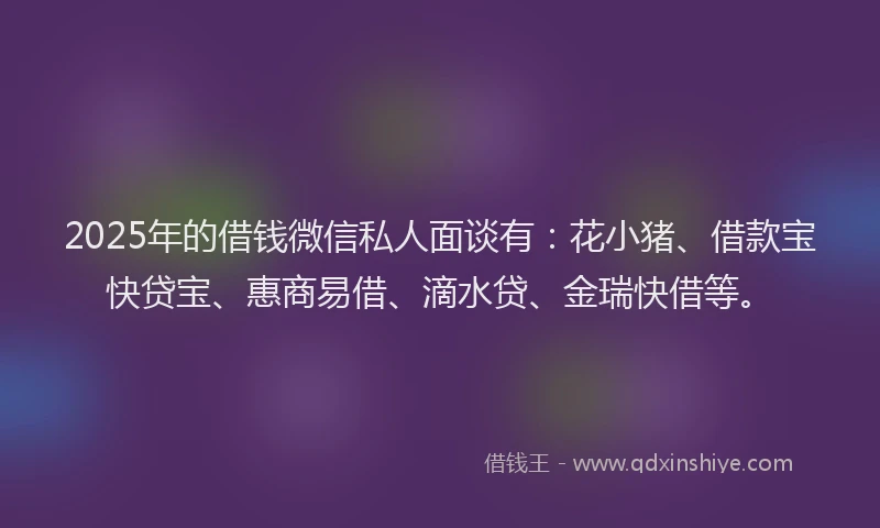 2025年的借钱微信私人面谈有：花小猪、借款宝快贷宝、惠商易借、滴水贷、金瑞快借等。