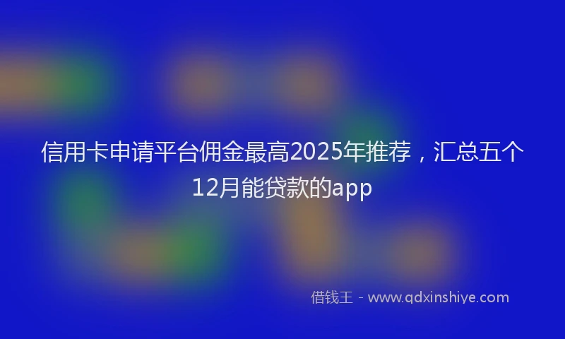 信用卡申请平台佣金最高2025年推荐，汇总五个12月能贷款的app