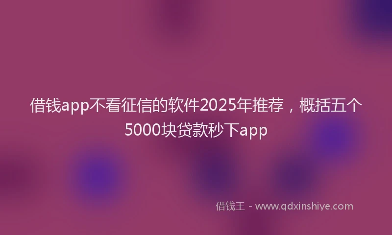 借钱app不看征信的软件2025年推荐，概括五个5000块贷款秒下app