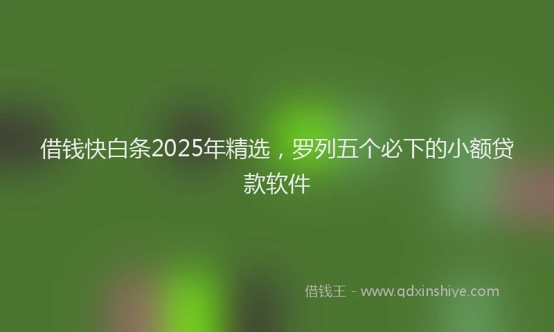 借钱快白条2025年精选，罗列五个必下的小额贷款软件