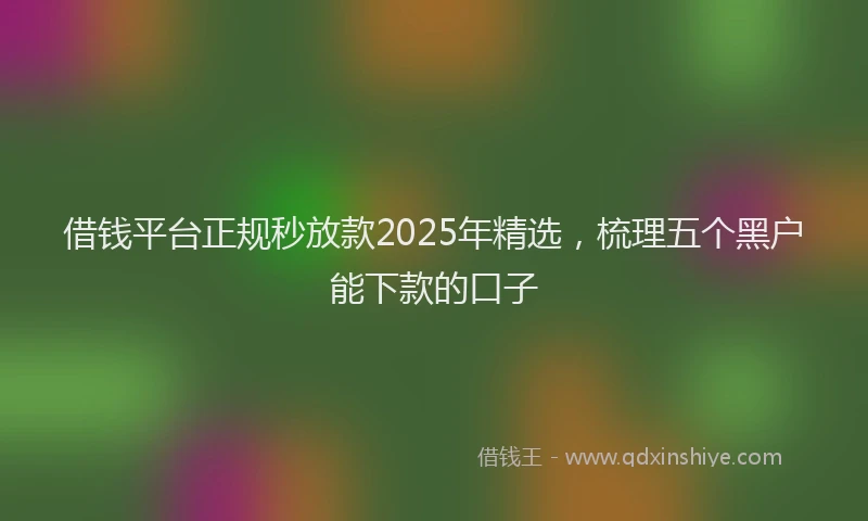借钱平台正规秒放款2025年精选，梳理五个黑户能下款的口子