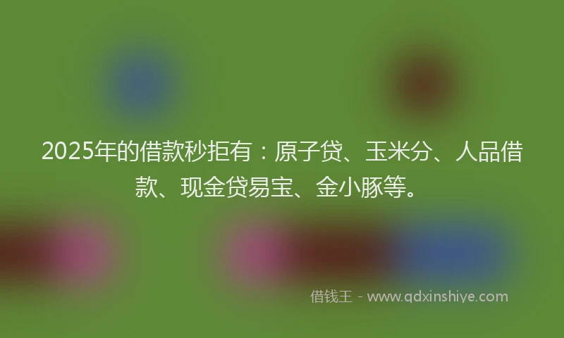 2025年的借款秒拒有：原子贷、玉米分、人品借款、现金贷易宝、金小豚等。