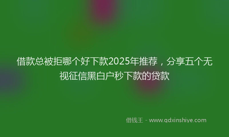 借款总被拒哪个好下款2025年推荐，分享五个无视征信黑白户秒下款的贷款