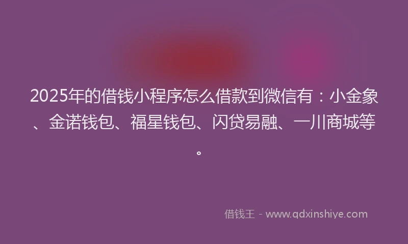 2025年的借钱小程序怎么借款到微信有：小金象、金诺钱包、福星钱包、闪贷易融、一川商城等。