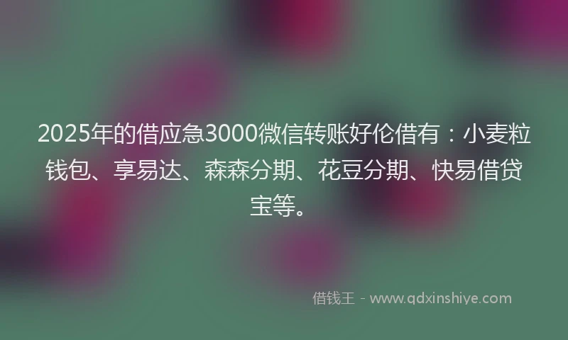 2025年的借应急3000微信转账好伦借有：小麦粒钱包、享易达、森森分期、花豆分期、快易借贷宝等。
