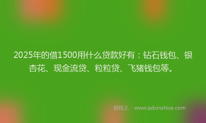 2025年的借1500用什么贷款好有：钻石钱包、银杏花、现金流贷、粒粒贷、飞猪钱包等。