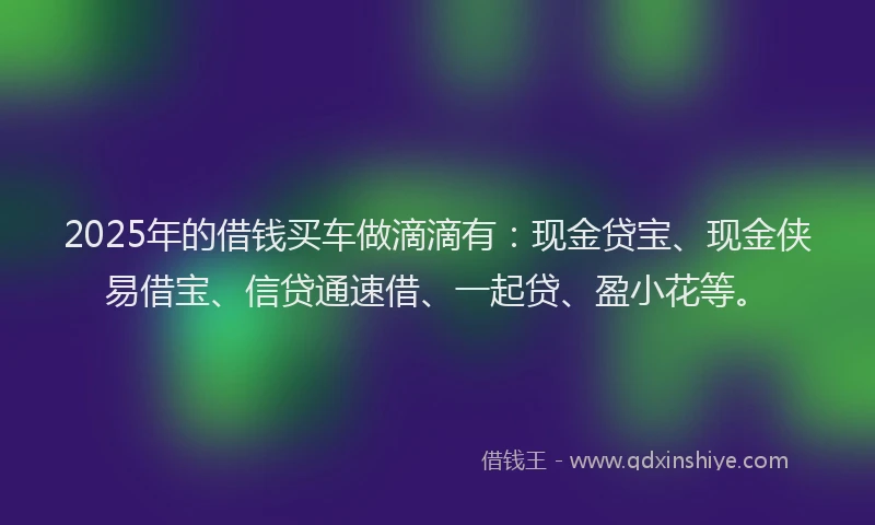 2025年的借钱买车做滴滴有：现金贷宝、现金侠易借宝、信贷通速借、一起贷、盈小花等。
